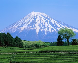 mt fiji 5