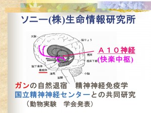 できビジ瞑想